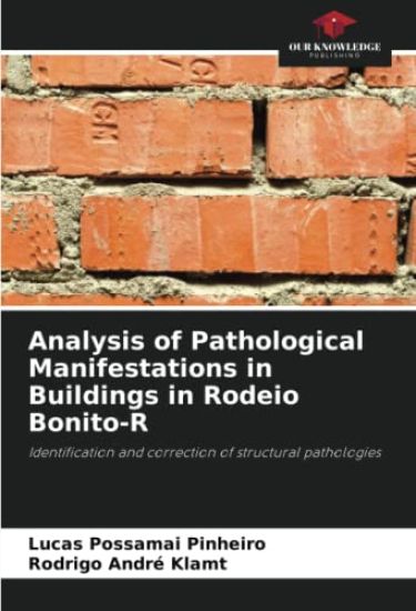 Analysis of Pathological Manifestations in Buildings in Rodeio Bonito-R