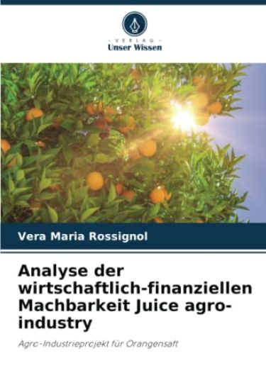 Analyse der wirtschaftlich-finanziellen Machbarkeit Juice agro-industry