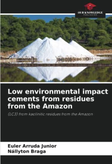 Low environmental impact cements from residues from the Amazon
