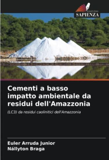 Cementi a basso impatto ambientale da residui dell'Amazzonia