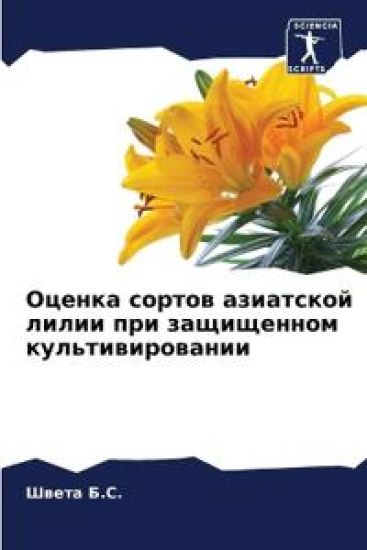 ?????? ?????? ????????? ????? ??? ??????н