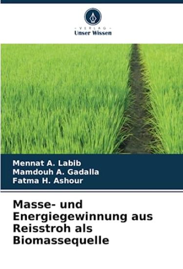 Masse- und Energiegewinnung aus Reisstroh als Biomassequelle