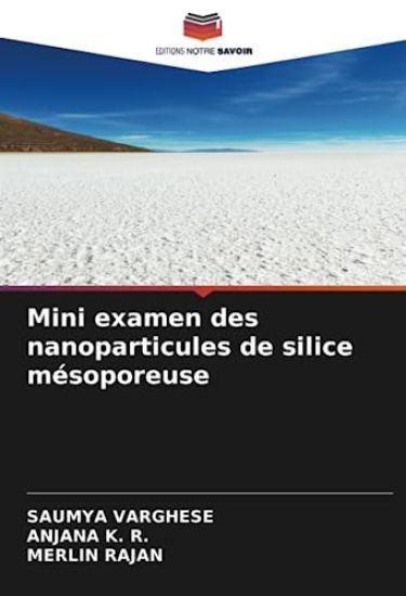 Mini examen des nanoparticules de silice mésoporeuse