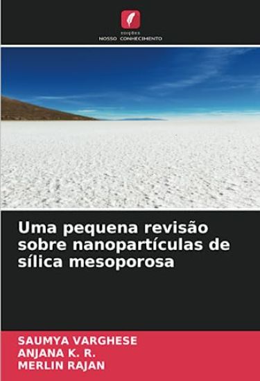 Uma pequena revisão sobre nanopartículas de sílica mesoporosa