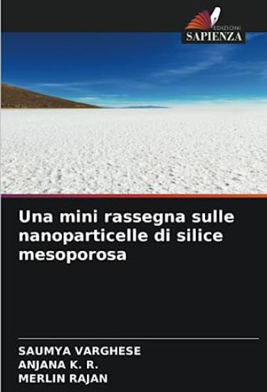 Una mini rassegna sulle nanoparticelle di silice mesoporosa