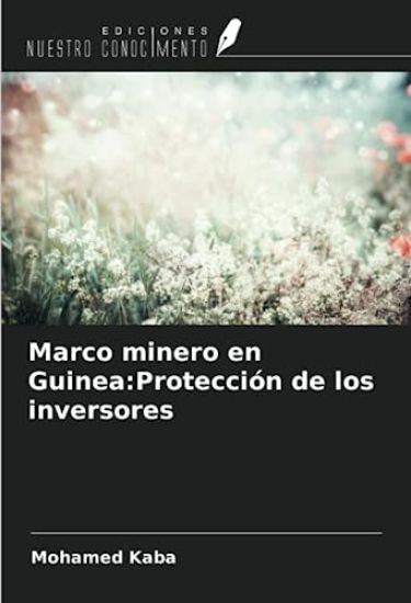 Marco minero en Guinea:Protección de los inversores