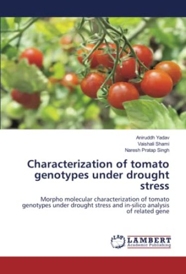 Characterization of tomato genotypes under drought stress
