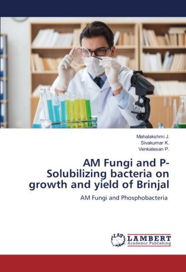 AM Fungi and P- Solubilizing bacteria on growth and yield of Brinjal