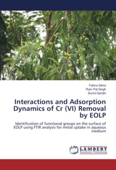 Interactions and Adsorption Dynamics of Cr (VI) Removal by EOLP