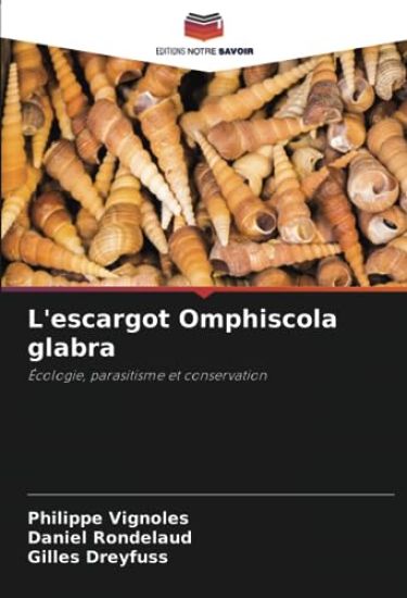 L'escargot Omphiscola glabra