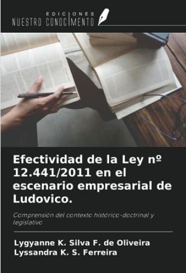 Efectividad de la Ley nº 12.441/2011 en el escenario empresarial de Ludovico.
