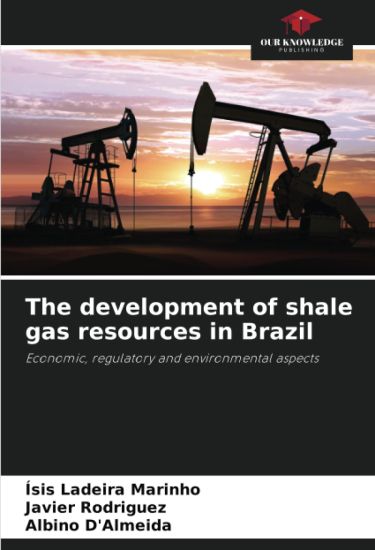 The development of shale gas resources in Brazil