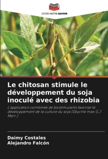 Le chitosan stimule le développement du soja inoculé avec des rhizobia