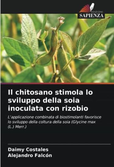 Il chitosano stimola lo sviluppo della soia inoculata con rizobio