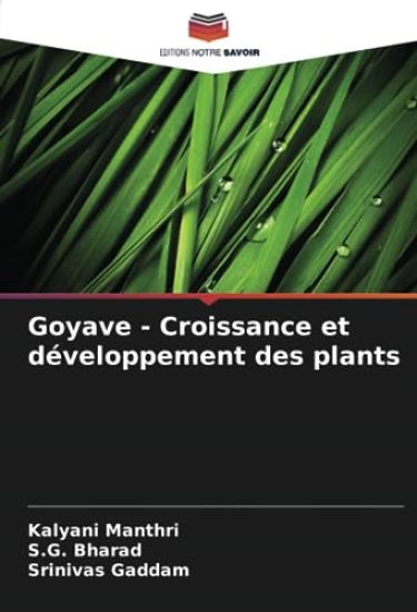 Goyave - Croissance et développement des plants