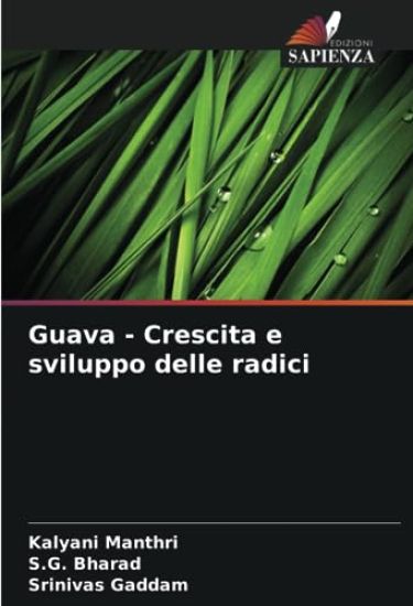 Guava - Crescita e sviluppo delle radici