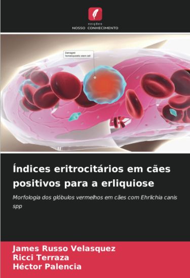 Índices eritrocitários em cães positivos para a erliquiose