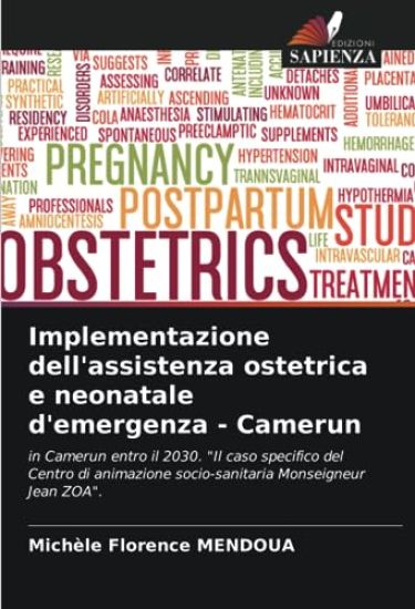 Implementazione dell'assistenza ostetrica e neonatale d'emergenza - Camerun