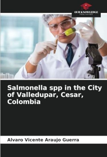 Salmonella spp in the City of Valledupar, Cesar, Colombia
