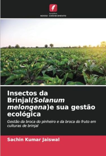Insectos da Brinjal(Solanum melongena)e sua gestão ecológica