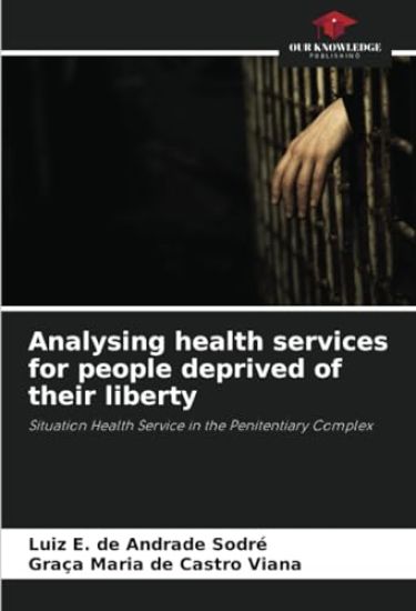 Analysing health services for people deprived of their liberty