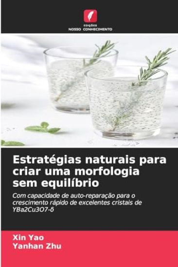 Estratégias naturais para criar uma morfologia sem equilíbrio