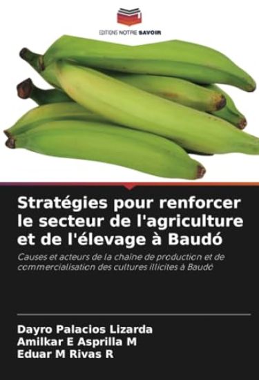 Stratégies pour renforcer le secteur de l'agriculture et de l'élevage à Baudó