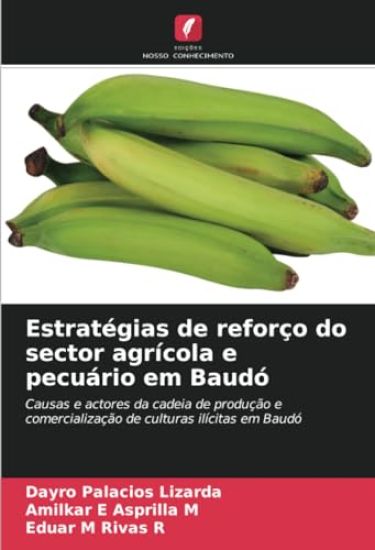 Estratégias de reforço do sector agrícola e pecuário em Baudó