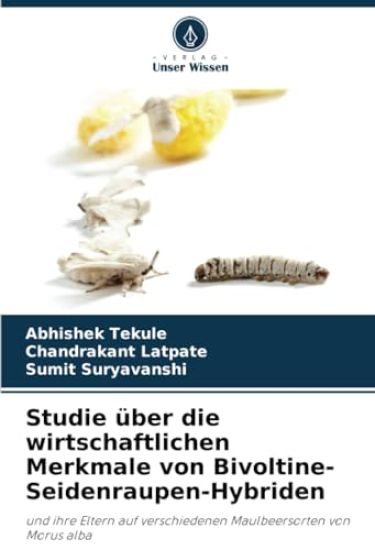 Studie über die wirtschaftlichen Merkmale von Bivoltine-Seidenraupen-Hybriden