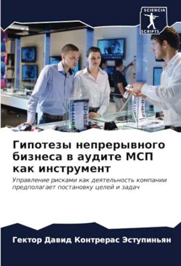 Gipotezy neprerywnogo biznesa w audite MSP kak instrument
