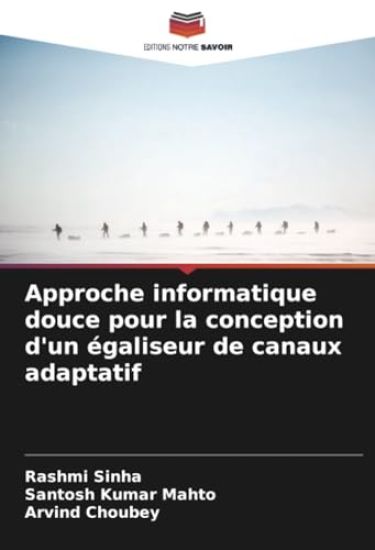 Approche informatique douce pour la conception d'un égaliseur de canaux adaptatif