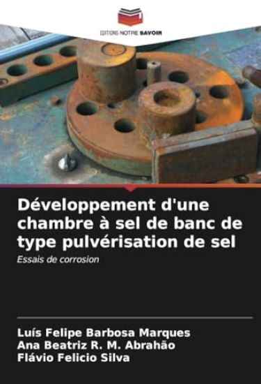 Développement d'une chambre à sel de banc de type pulvérisation de sel