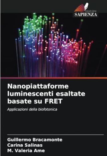 Nanopiattaforme luminescenti esaltate basate su FRET