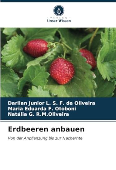 Erdbeeren anbauen