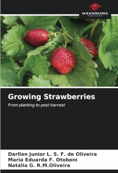 Growing Strawberries