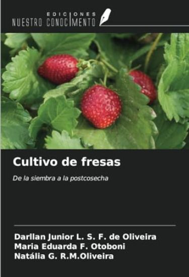 Cultivo de fresas