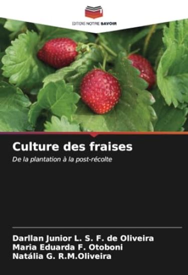Culture des fraises