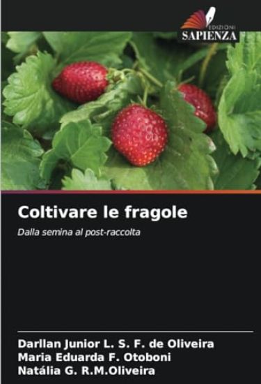 Coltivare le fragole