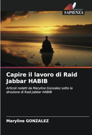 Capire il lavoro di Raid Jabbar HABIB