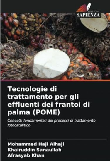 Tecnologie di trattamento per gli effluenti dei frantoi di palma (POME)