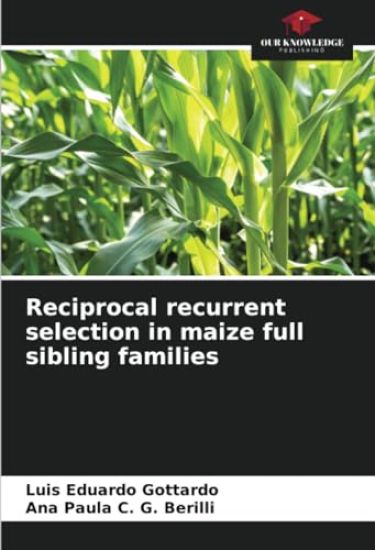 Reciprocal recurrent selection in maize full sibling families