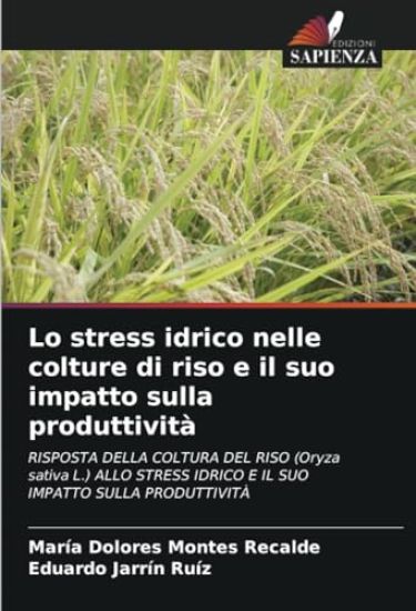 Lo stress idrico nelle colture di riso e il suo impatto sulla produttività