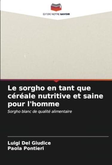 Le sorgho en tant que céréale nutritive et saine pour l'homme