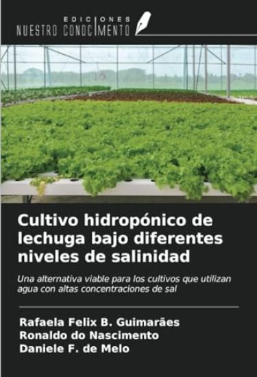 Cultivo hidropónico de lechuga bajo diferentes niveles de salinidad