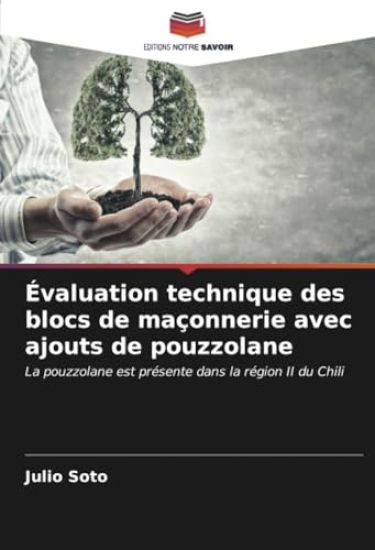 Évaluation technique des blocs de maçonnerie avec ajouts de pouzzolane