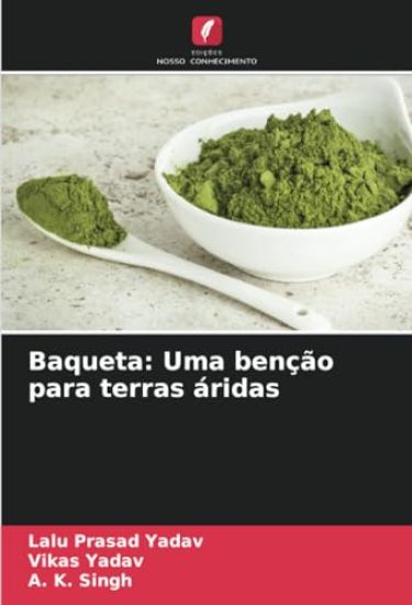 Baqueta