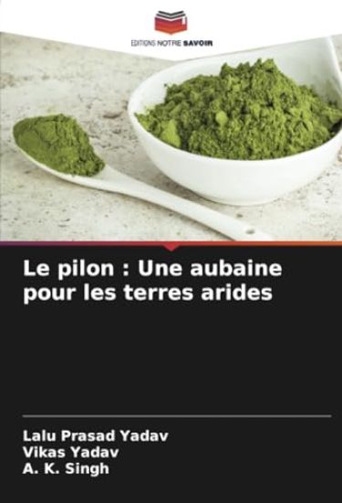Le pilon