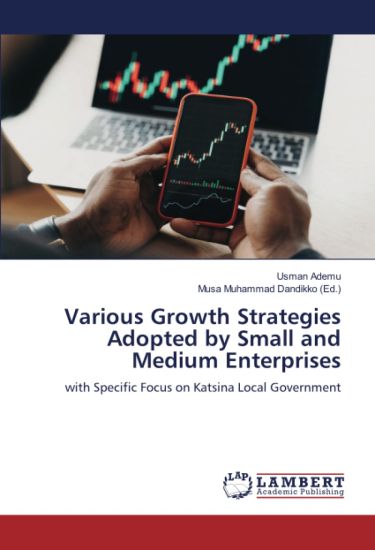 Various Growth Strategies Adopted by Small and Medium Enterprises