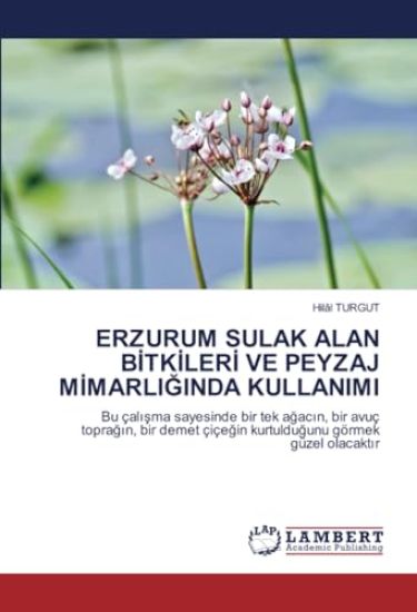 ERZURUM SULAK ALAN B¿TK¿LER¿ VE PEYZAJ M¿MARLI¿INDA KULLANIMI