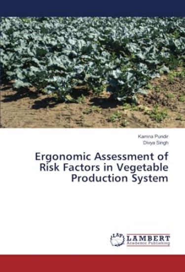 Ergonomic Assessment of Risk Factors in Vegetable Production System